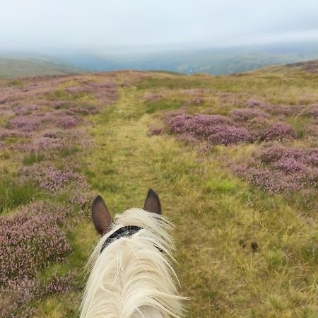 Pentre Riding Stables Hotel Abercraf Kültér fotó