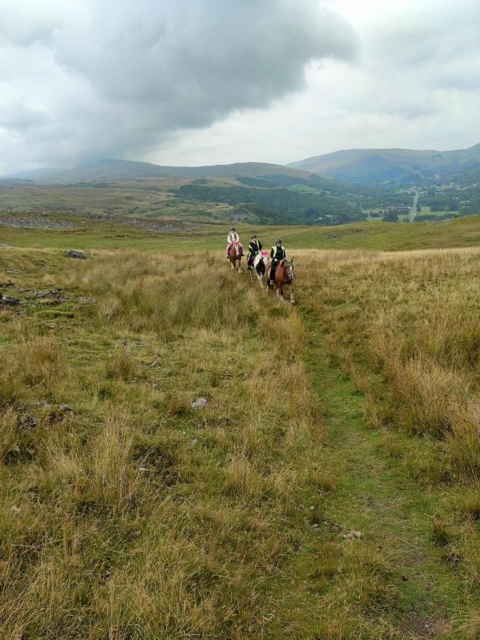Pentre Riding Stables Hotel Abercraf Kültér fotó