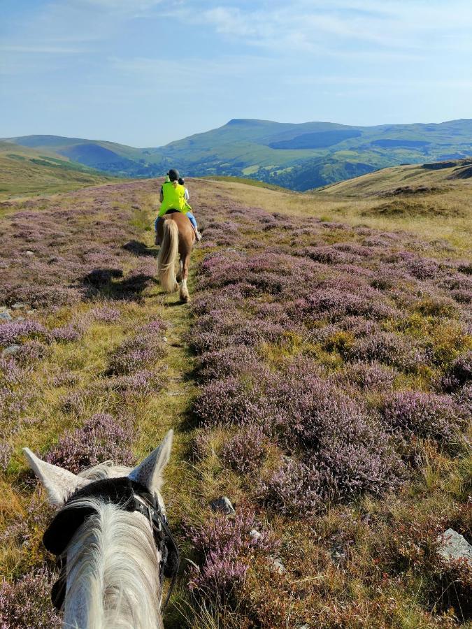 Pentre Riding Stables Hotel Abercraf Kültér fotó