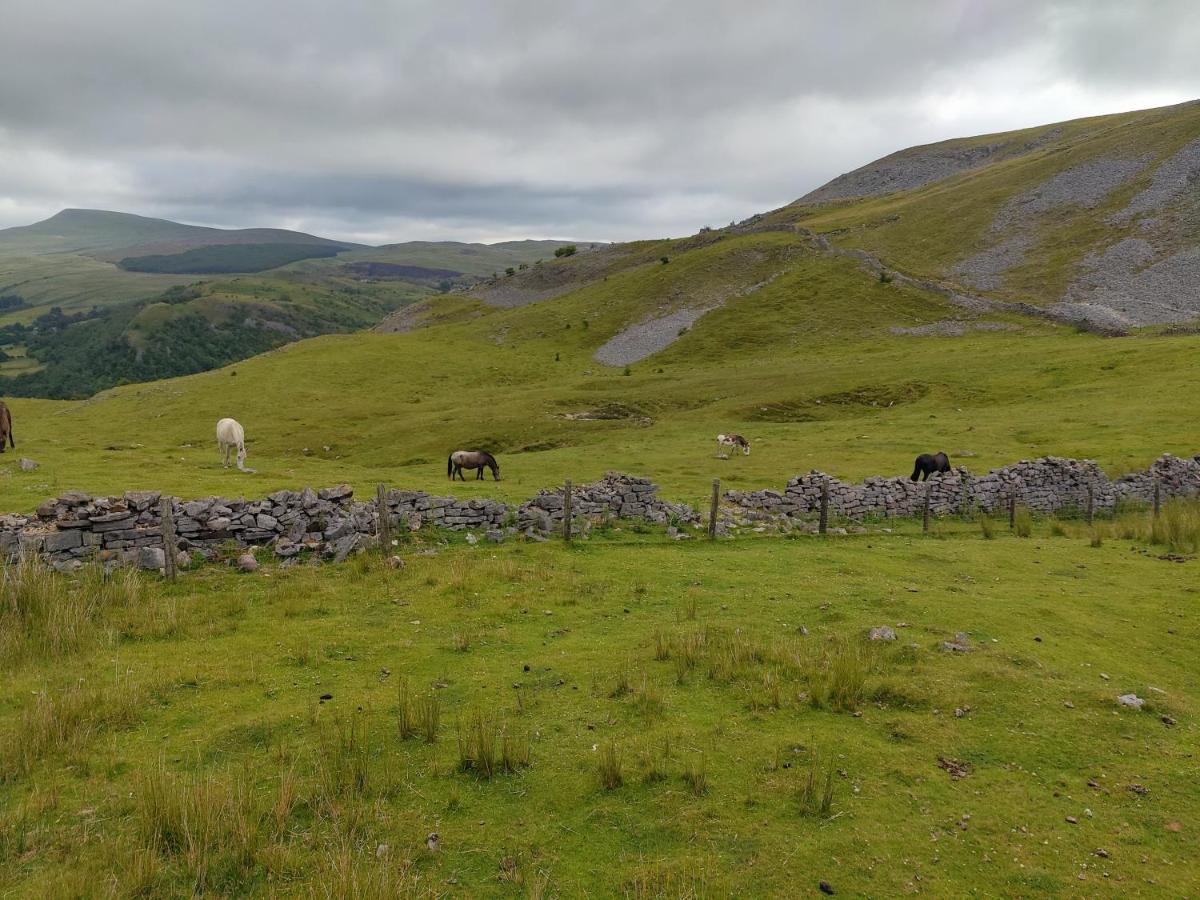 Pentre Riding Stables Hotel Abercraf Kültér fotó