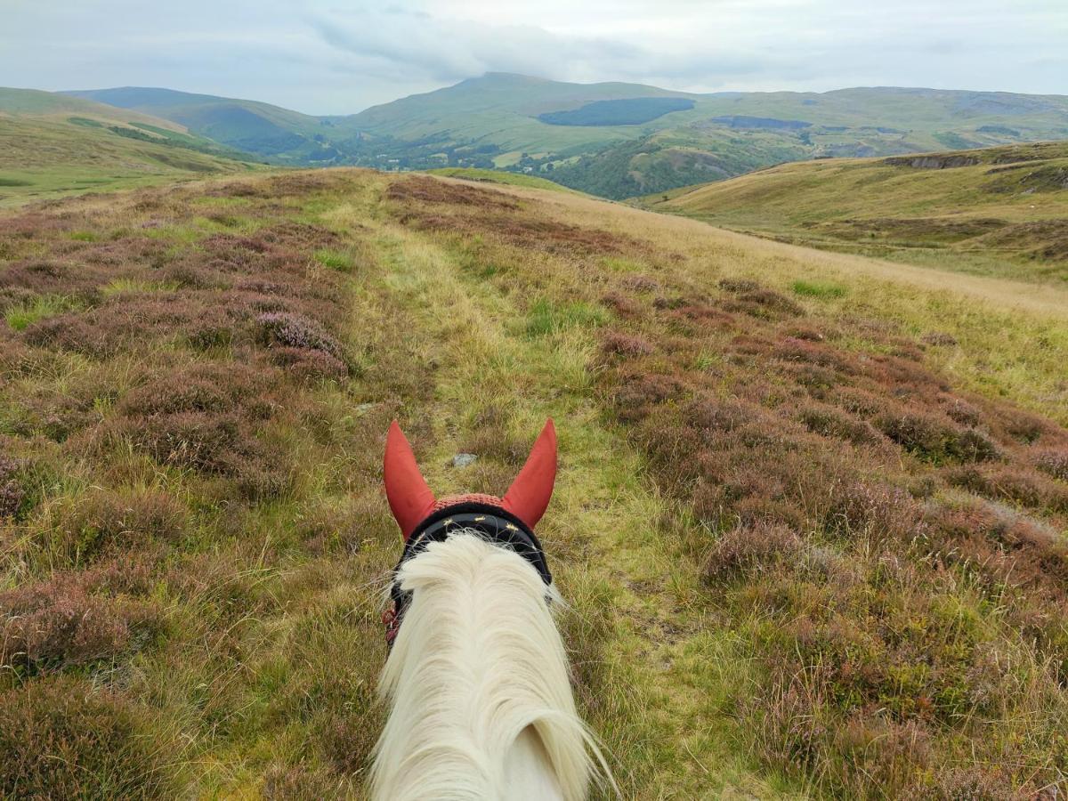 Pentre Riding Stables Hotel Abercraf Kültér fotó